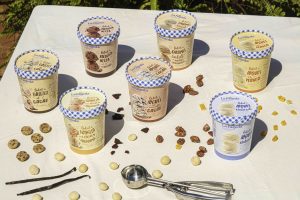 Foto gelats article (1)